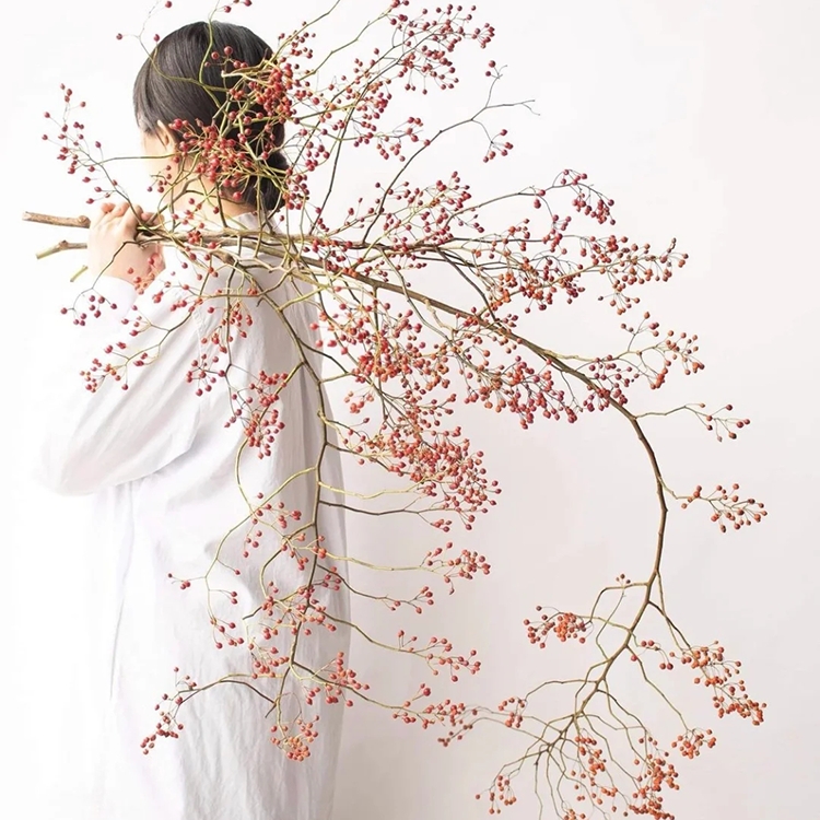 山归来蔷薇果千层金雪柳鲜切枝水培植物花瓶插花造型禅意可做干花