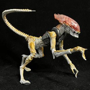 正版散货7寸NECA异形狗手办大战铁血战士模型可动人偶摆件玩具