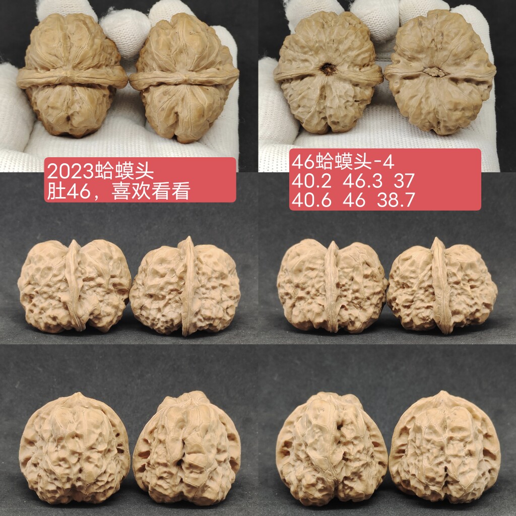 蛤蟆头01文玩核桃一物一图,金小众木作