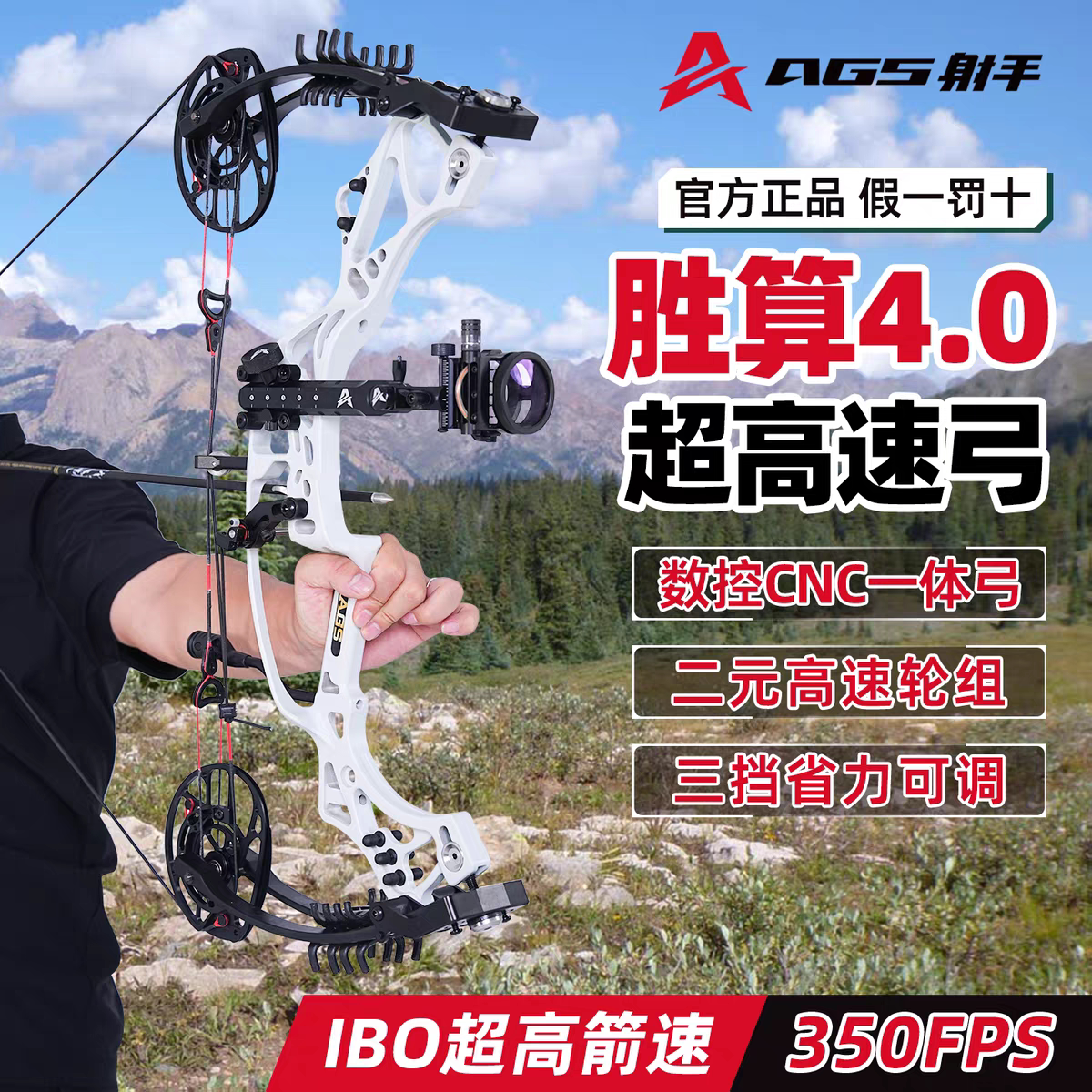 胜算4.0高速复合弓精准稳定