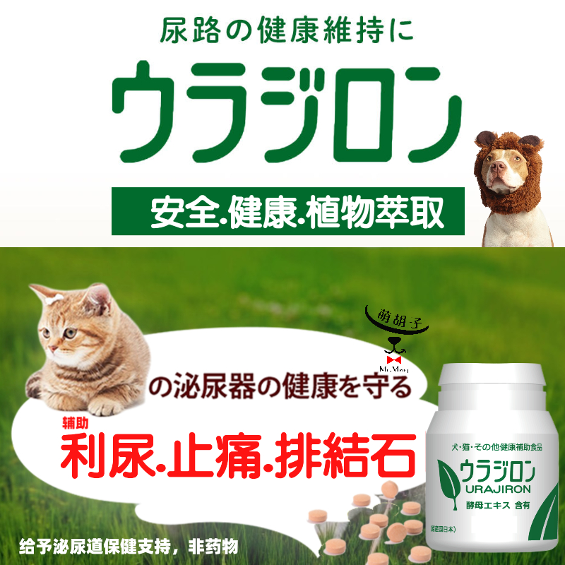 日本猫咪肾结石尿结石猫闭尿利尿