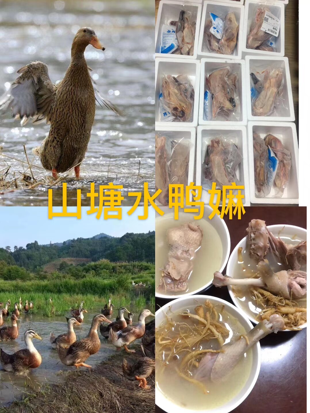 大埔田鸭母老水鸭麻泥鸭土鸭客家农家放养麻鸭新鲜现杀整个约2斤