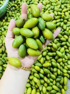 凌峰二号新鲜特级甜种青橄榄果潮汕现摘生吃甘甜无渣孕妇水果1斤