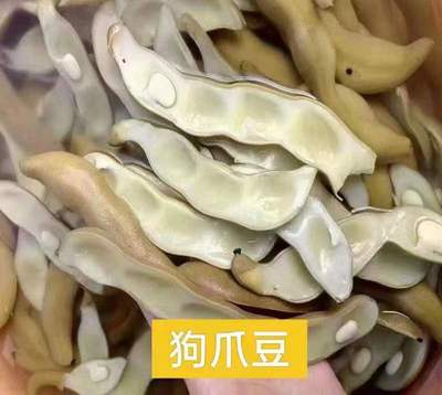 狗爪豆虎老豆豆皮食品