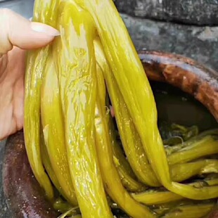 梅州客家特产大埔农家自制食用水咸菜老坛苦笋酸菜1250克瓶装兴宁