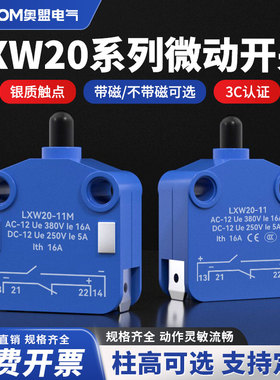 微动开关LXW20-11柜门限位开关11M行程开关CSK按压磁吹推压塞柱型