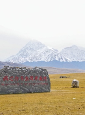 定制橱窗影楼舞台摄影道具婚庆塑雕演出表演泡沫仿真刻字石头假山