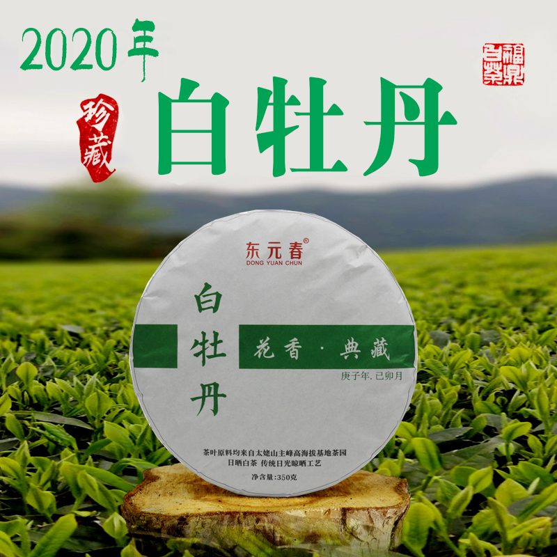 福鼎白茶原产地毫香2020年白牡丹
