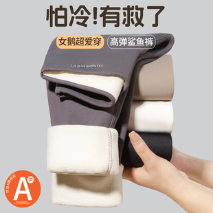 女童鲨鱼裤秋冬款儿童加绒加厚打底裤中大童可外穿保暖瑜伽紧身裤