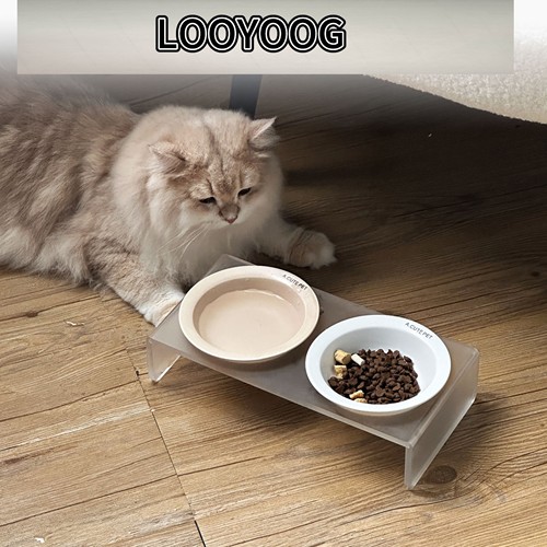 一款好用的猫咪进食碗喝水碗爱你的小猫咪就给它用吧简洁大气实用