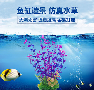 鱼缸造景仿真水草水陆缸植物景观装饰摆件鱼缸装饰塑料花草内景