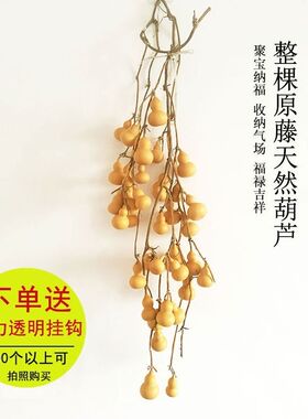 连枝手捻家居风水招财客厅小葫芦