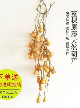 连枝手捻家居风水招财客厅小葫芦