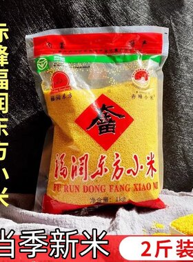福润东方小米内蒙古赤峰大金苗