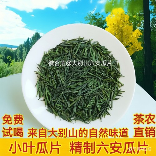 精品小叶瓜片2026新茶  正宗六安瓜片原产地雨前采摘春茶绿茶XY3