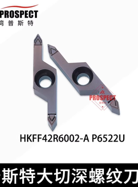 普斯特大切深螺纹 HKFF42R55/6001/2-A P6522U