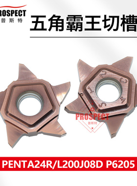 普斯特五角霸王切槽刀片 PENTA24R-L200J08D P6205
