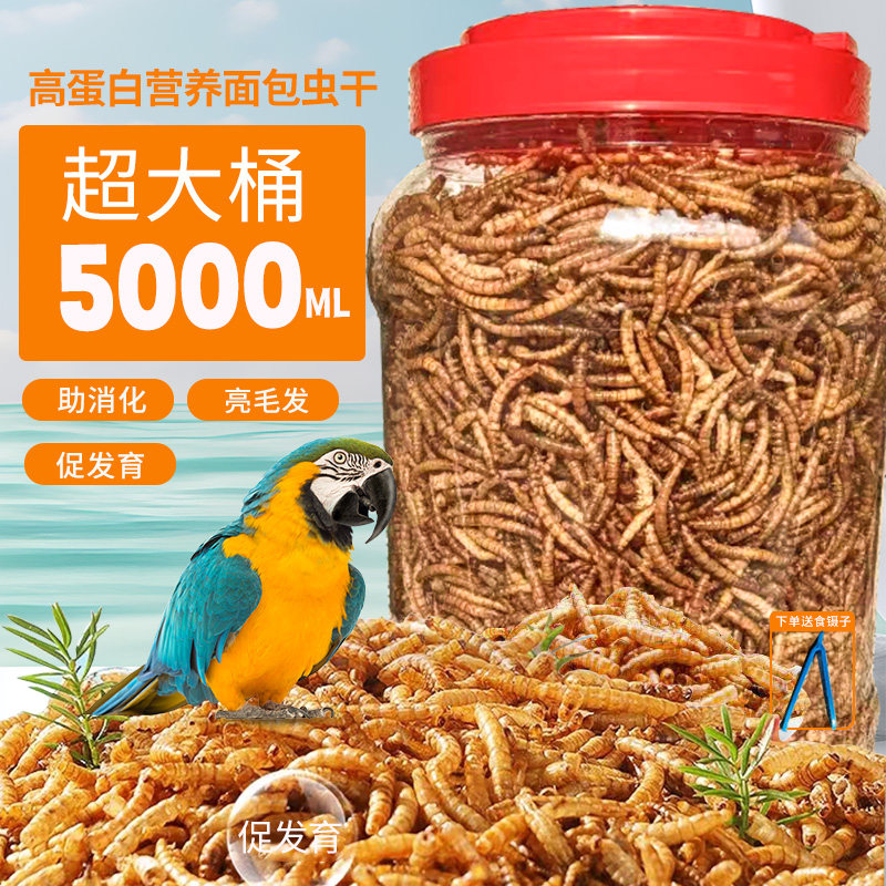 面包虫干黄粉虫干鸟食仓鼠零食饲料龟粮鱼粮八哥粮芦丁鸡鹦鹉主粮,宠物/宠物食品及用品,鼠粮,淘宝优惠券,粉丝福利购,淘宝优惠卷