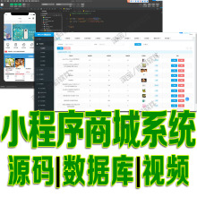 Springboot+VUE微信小程序商城系统redis项目前后端分离源码mysql