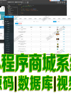 Springboot+VUE微信小程序商城系统redis项目前后端分离源码mysql