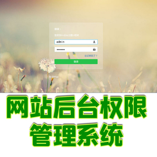 springboot开发网站后台权限管理系统java角色业务mysql,源码下载