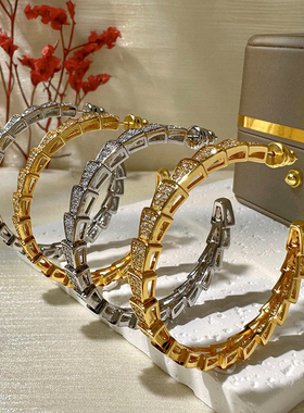 日韩23时尚圆环耳环冷淡风气质镶钻蛇形耳钉锆石个性金属耳圈耳饰