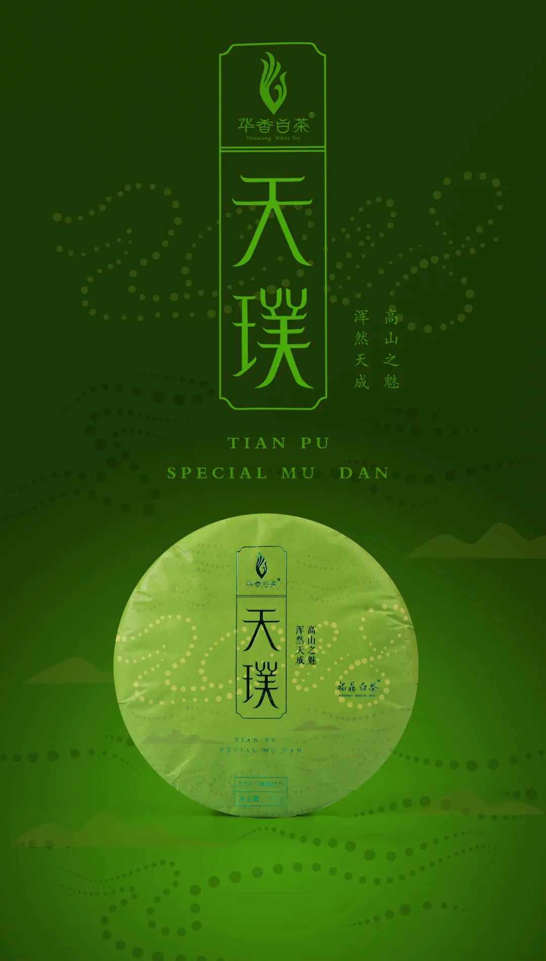 华香白茶WHITE TEA 福鼎白茶天璞2018年特级牡丹300克/饼