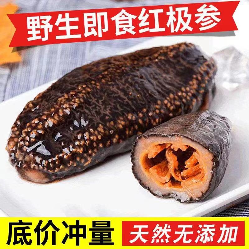 喜禾甄选海参即食野生红极参大连深海辽刺参500g鲜食海鲜北极红参