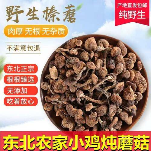 东北野生榛蘑长白山特产特级干货