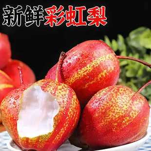 卓著正宗陕西彩虹梨应当季新鲜水果红皮香梨子皮薄脆甜多汁早酥梨