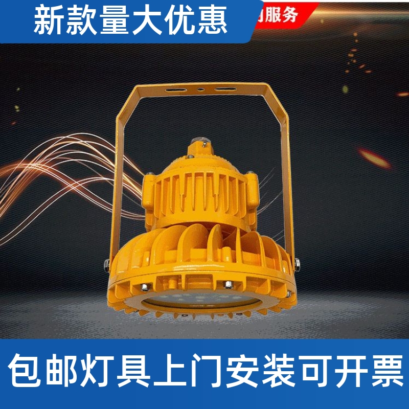 LED防爆灯20W30W40W50W60W80W100W120W防爆LED灯BLD210工厂