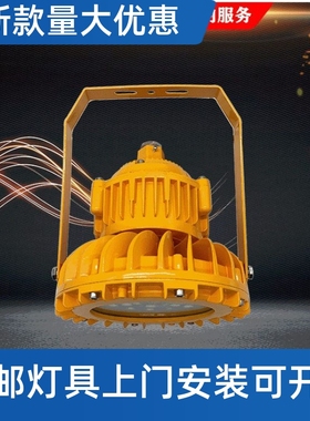 LED防爆灯20W30W40W50W60W80W100W120W防爆LED灯BLD210工厂