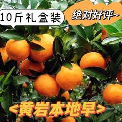 正宗黄岩蜜桔本地早非涌泉橘现摘礼盒装自家种植新鲜水果黄岩蜜橘