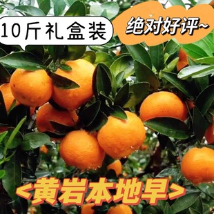 正宗黄岩蜜桔本地早非涌泉橘礼盒装农家种植水果浙江黄岩蜜橘