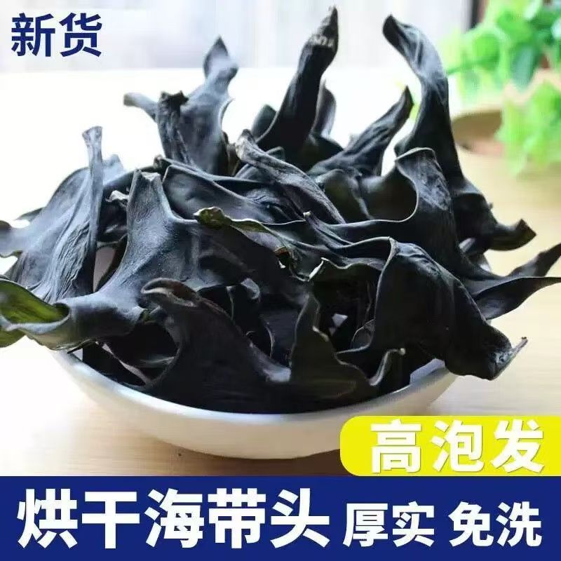 烘干海带头厚实海带头