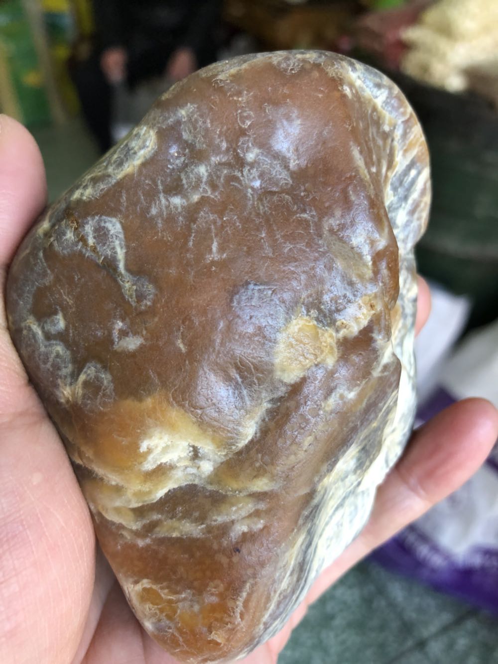 黑龙江天然嫩江水冲料树化玉硅化木原石手把件雕刻料摆件456克