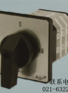 江阴长江 LW38B-16YH3/3 D0723 D0724 系列转换开关