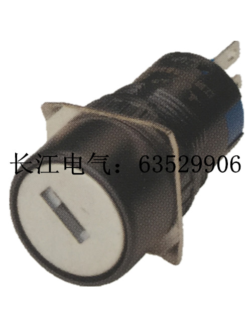 如要求防护等级为IP65(防水型)，则在正常型号后加"P"，价格在正常对应价格的基础上每只加1.7元