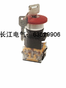 208B 江阴长江 209B 11MXY 钥匙复位蘑菇钮 LA38