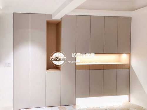 东莞爱格板全屋定制 u702玄关鞋柜极简 线下实体门店质保十年