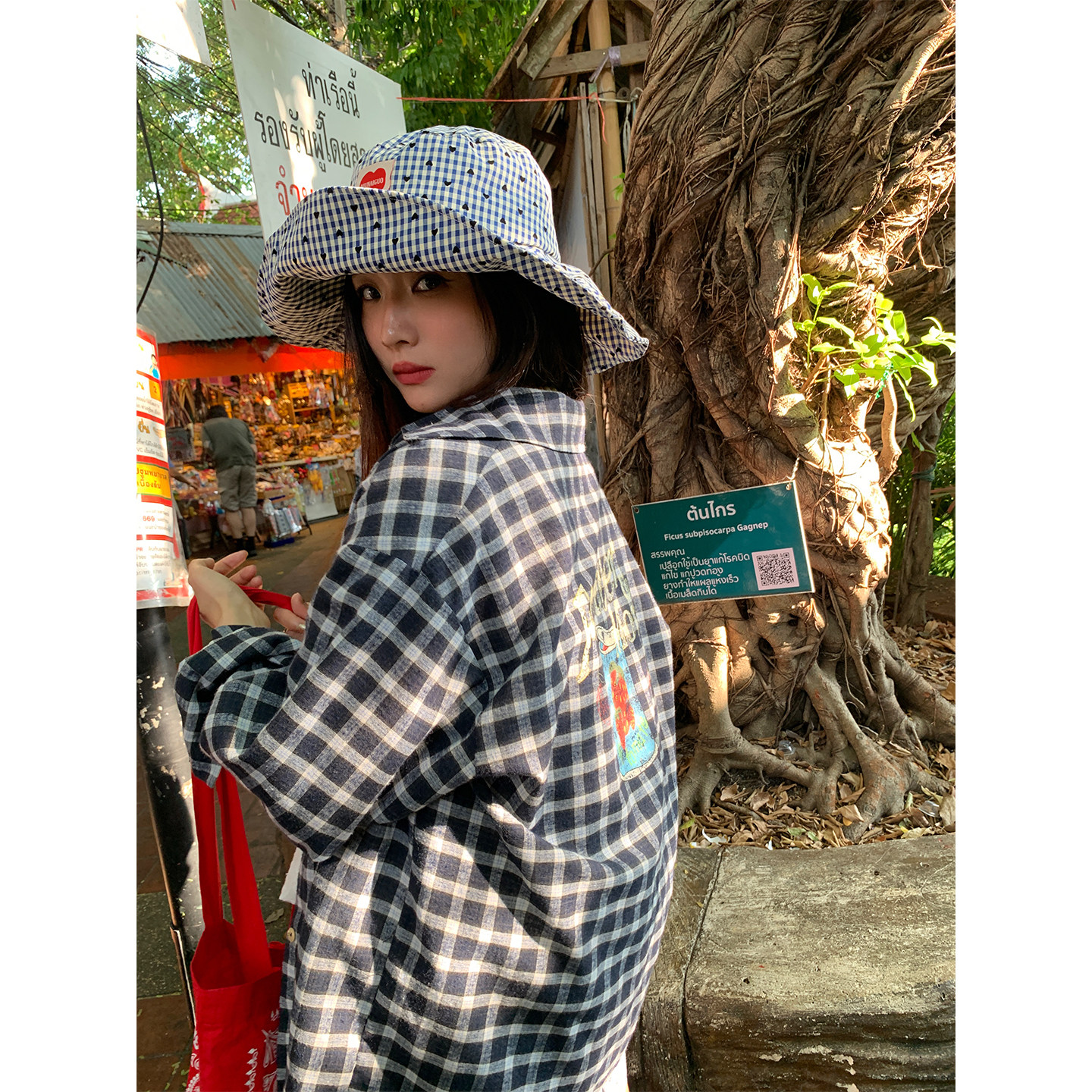 落落狷介女款2026年新款春装长袖格子衬衫小个子宽松印花上衣小众