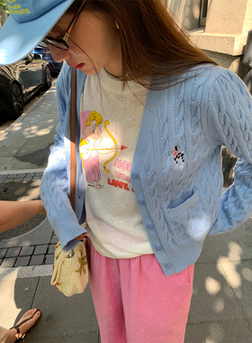落落狷介 毛衣秋冬女2026新款蓝色刺绣上衣小个子V领麻花显瘦外穿