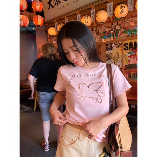 落落狷介粉色刺绣镂空T恤女
