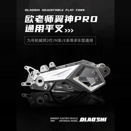 欧老师九号E系翼神平叉九号E80C/E200P/M95C电动车后平叉直上改装