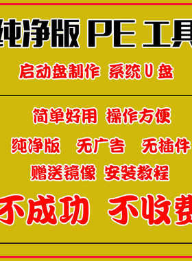 电脑系统纯净版PE制作工具电脑U盘启动软件系统安装无捆绑win10