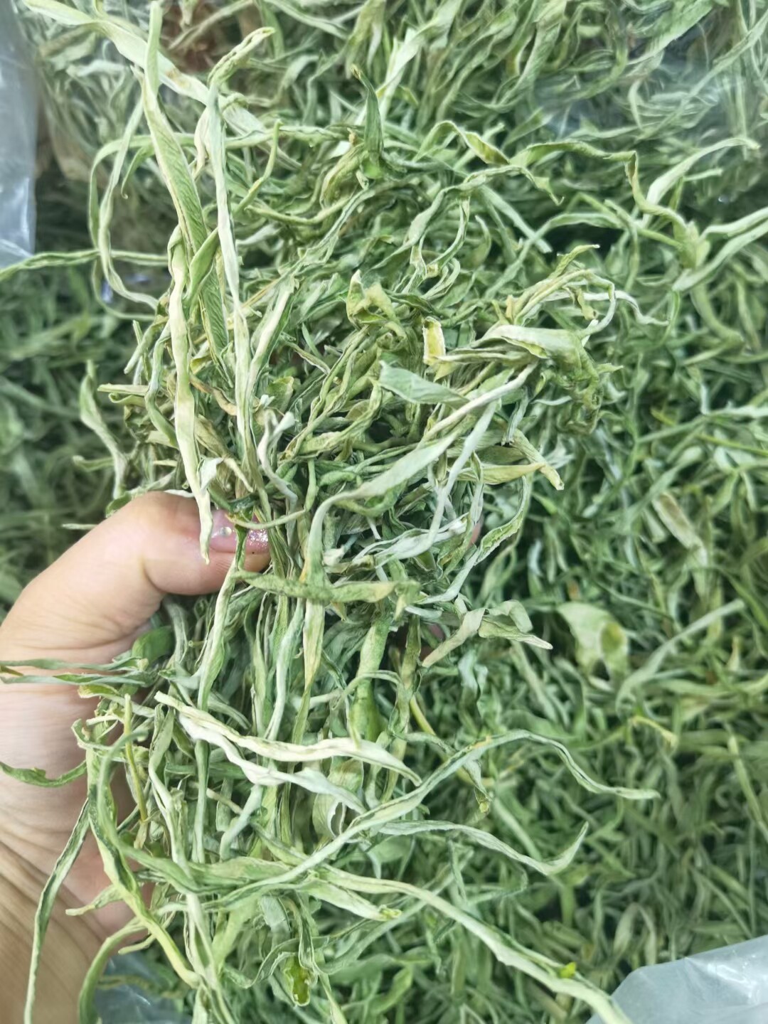 东北黑龙江土特产紫花油豆角丝 依安农家直供干货干豆角丝 500g
