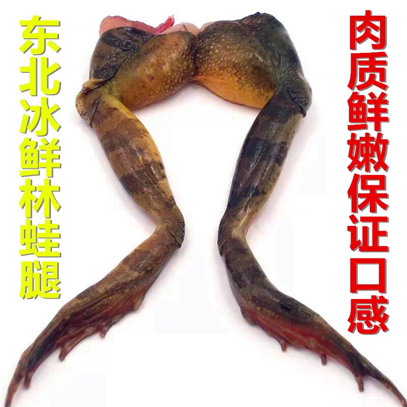 东北林蛙鲜活林蛙腿 长白山蛤蟆腿 1000克 新鲜速冻美味尝鲜 包邮