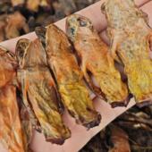 林蛙皮纯干雪蛤蟆皮500克 雪蛤皮2023年新货纯干 东北长白山林蛙