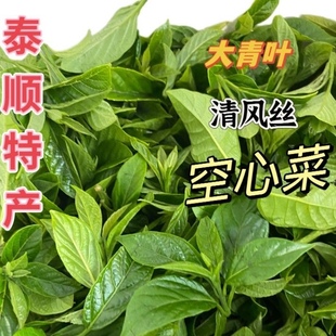 包邮泰顺特产一店清风丝野菜野生金刚术大青叶空心菜清凉烧汤现采