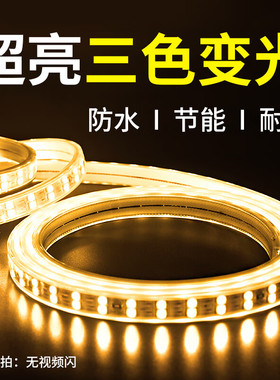 220v防水LED三色变光线形灯户外亮化工程软灯带广告灯箱装饰灯带